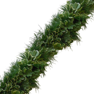 Fresh Handmade Garland - Tree Fern & Variegated Pittosporum Green flowers - fresh-cut flowers by Bloomingmore - ideal for weddings and floral events