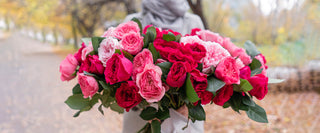 Roses Collection