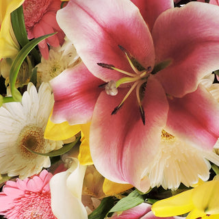 Pretty Little Lilies Bouquet with Burlap Pretty flowers - fresh-cut flowers by Bloomingmore - perfect for gifting or decoration
