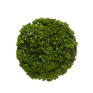 Green Ball Green flowers - fresh-cut flowers by Bloomingmore - ideal for weddings and floral events