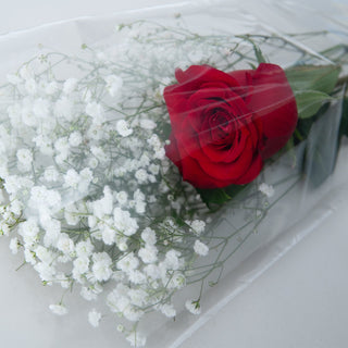Single Rose