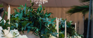 Greenery assorted box, salal, bear grass, green huckleberry
