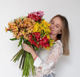 alstroemerias
